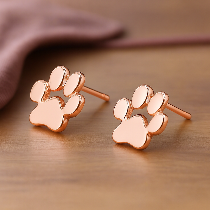 Hypoallergenic claw earrings